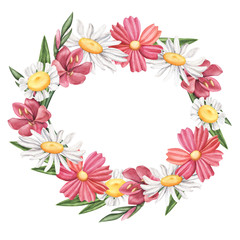 Fototapeta na wymiar Wreath of wild summer flowers - camomile, daisy, cosmos and lily, watercolor illustration isolated on white background. Watercolor white and pink wild, meadow flower wreath, round composition