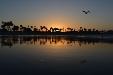 Sunrise over Venice Beach