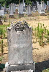 Tombstones in the jewish cemetery