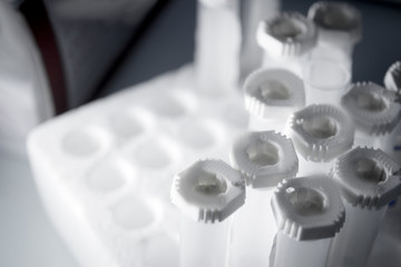 Vials for veterinary use to cure different diseases