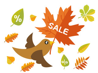 Autumn sale