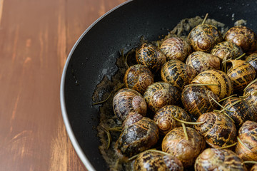 Fried snails in a frying pan with rosemary.