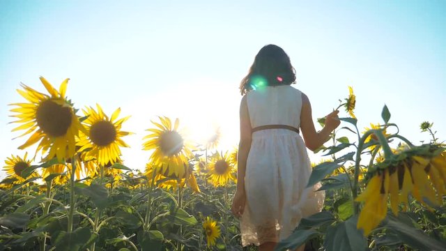 Happy little girl runs happy free across the field with sunflowers. slow motion video. smelling big sunflower on summer field. Delight of a pleasant smell. Summer holiday. concept happiness childhood