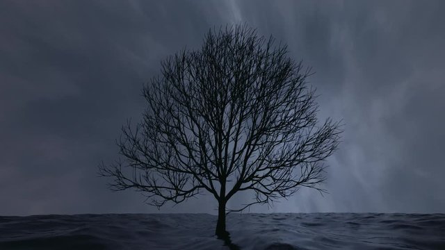 Lonely flooded tree standing among waves. Loop. 3D animation.