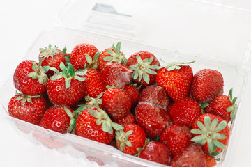 Closeup macro shot image of rotten strawberry with white large mold in plastic transparent box.