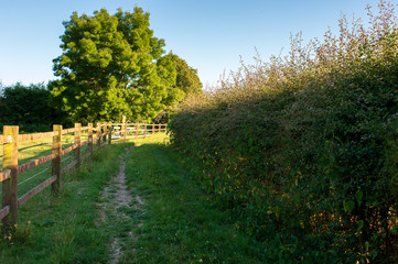 Fototapeta na wymiar Path by a wooden fence in England countryside