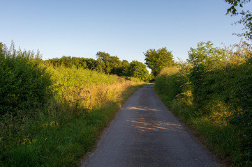 Small country road in Lincolnshire, England