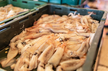 A box of squid on a market