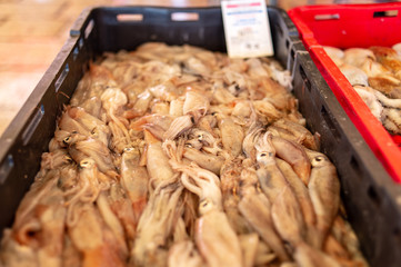Big box of squid on a market