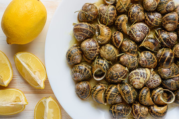 Tasty fried snails with lemon in white plate on white wooden background.
