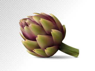 Fresh purple Artichokes on transparent background. Realistic vector eps10, 3d illustration