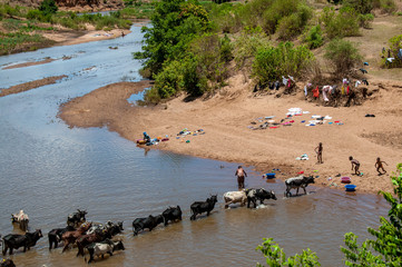 landscapes of the central highlands of Madagascar 