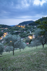 a night view of valrovina in the foothills of the italian alps during blue hour in a summer evening