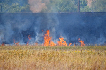 Fototapeta na wymiar Wild fire and smoke in dry meadow grass due to hot windy weather in summer started to burn from railway behind.