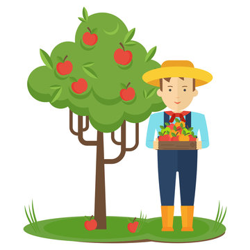 Apple picking. Farmer man in the garden with boxes of apples in his hands. Farmers characters. Flat vector cartoon illustration. Objects isolated ongreen background.