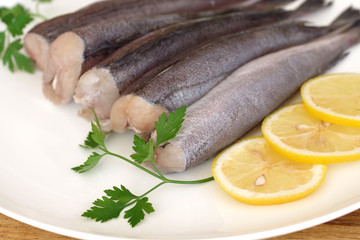 hake fish