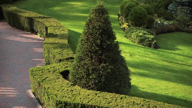 Formal garden. Recreation park with ornamental garden and stone stairs. Landscape design. A place for rest and relaxation