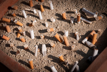 Cigarette butts discarded in ashtray