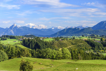 Fototapeta na wymiar herrliche Natur im Allgäuer Alpenvorland