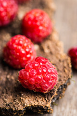 Ripe raspberry on the wooden bark. Selective focus. Shallow depth of field.