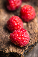 Ripe raspberry on the wooden bark. Selective focus. Shallow depth of field.