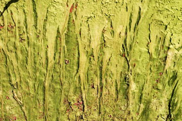 Old paint with rust