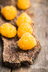 Ripe raspberry on the wooden bark. Selective focus. Shallow depth of field.