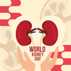 hands holding kidneys awareness world kidney day vector illustration vector illustration