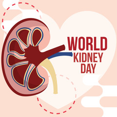 world kidney day wellness campaign card vector illustration
