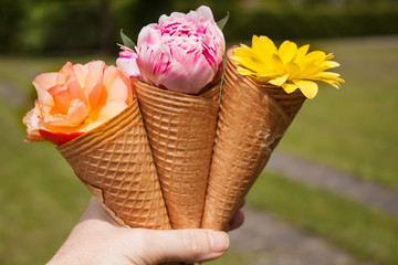 elderberry icecream