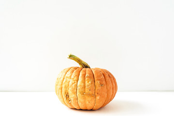 Pumpkin on white background. Fall autumn halloween concept.