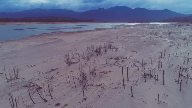 Aerial shot tilting up revealing old dead trees in dam, Theewaterskoof dam, main water-supply dam to Cape Town, South Africa