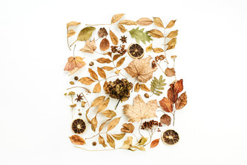 Flat lay, top view. Creative fall composition with dry autumn leaves. © Floral Deco