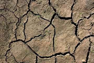 Earth in cracks