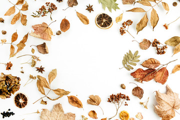 Frame of dry fall autumn leaves, petals and oranges on white background. Flat lay, top view seasonal concept.