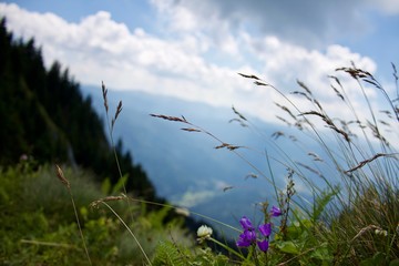 View from Postăvaru peak, Romania