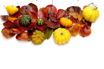Herbstliche rot gelb grüne Blätter und Kürbissen auf weißem Hintergrund