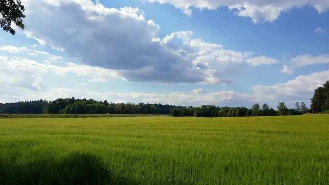 Shot taken with Samsung S8 in 4k ,3840x2160, Upplands V&auml;sby,Stockholm,Sweden.