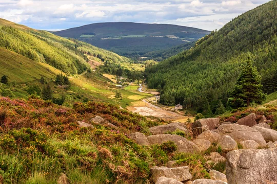 Les Montagnes de Wicklow - Adobe Stock