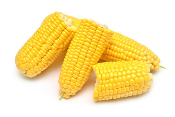 A corn is isolated on white background. Flat lay, top view