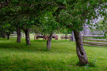 Apple orchard garden in heritage settlement - 217146213
