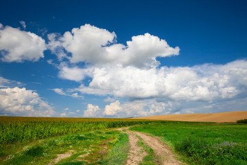 Long and winding rural path crosses the hills and fields