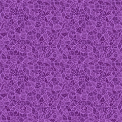 colorful stripes and lines