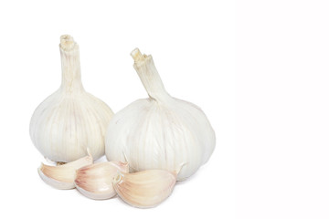 Garlic isolated on white background