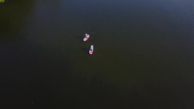 Young people are kayaking on the river