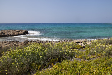 Fototapeta na wymiar Beautiful scenery in Cyprus
