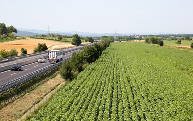 Overview of toll motorway in Italy