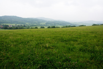 Fototapeta premium The green summer fields of the Czech Republic.