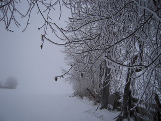 Winter, Dull, ice, snow, north, frost