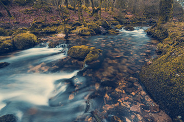 Fast flowing stream in ancient forest, toned and colored effect